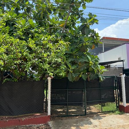 فندق The Lazy Palm Shack كويمباتور المظهر الخارجي الصورة