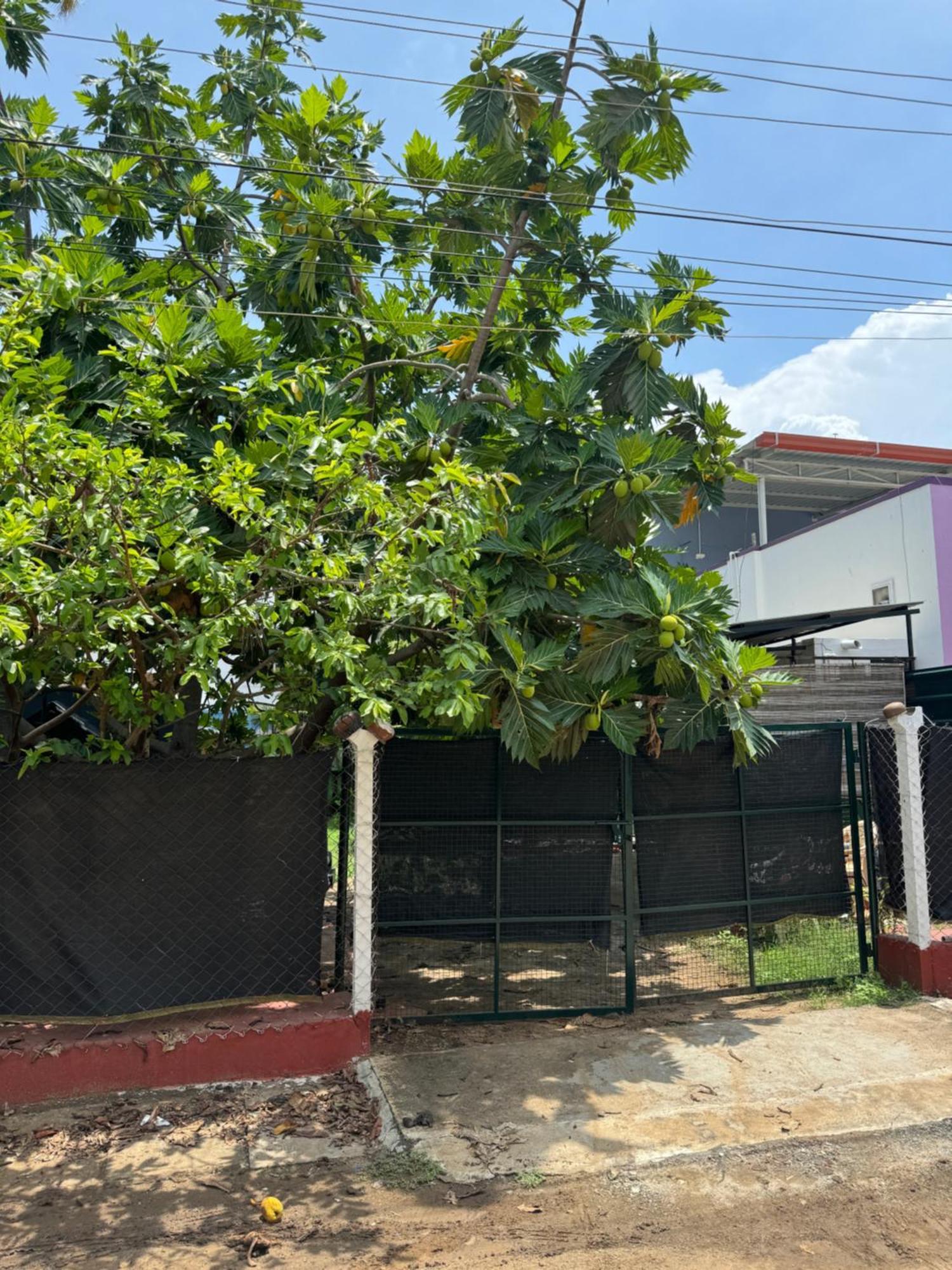 فندق The Lazy Palm Shack كويمباتور المظهر الخارجي الصورة